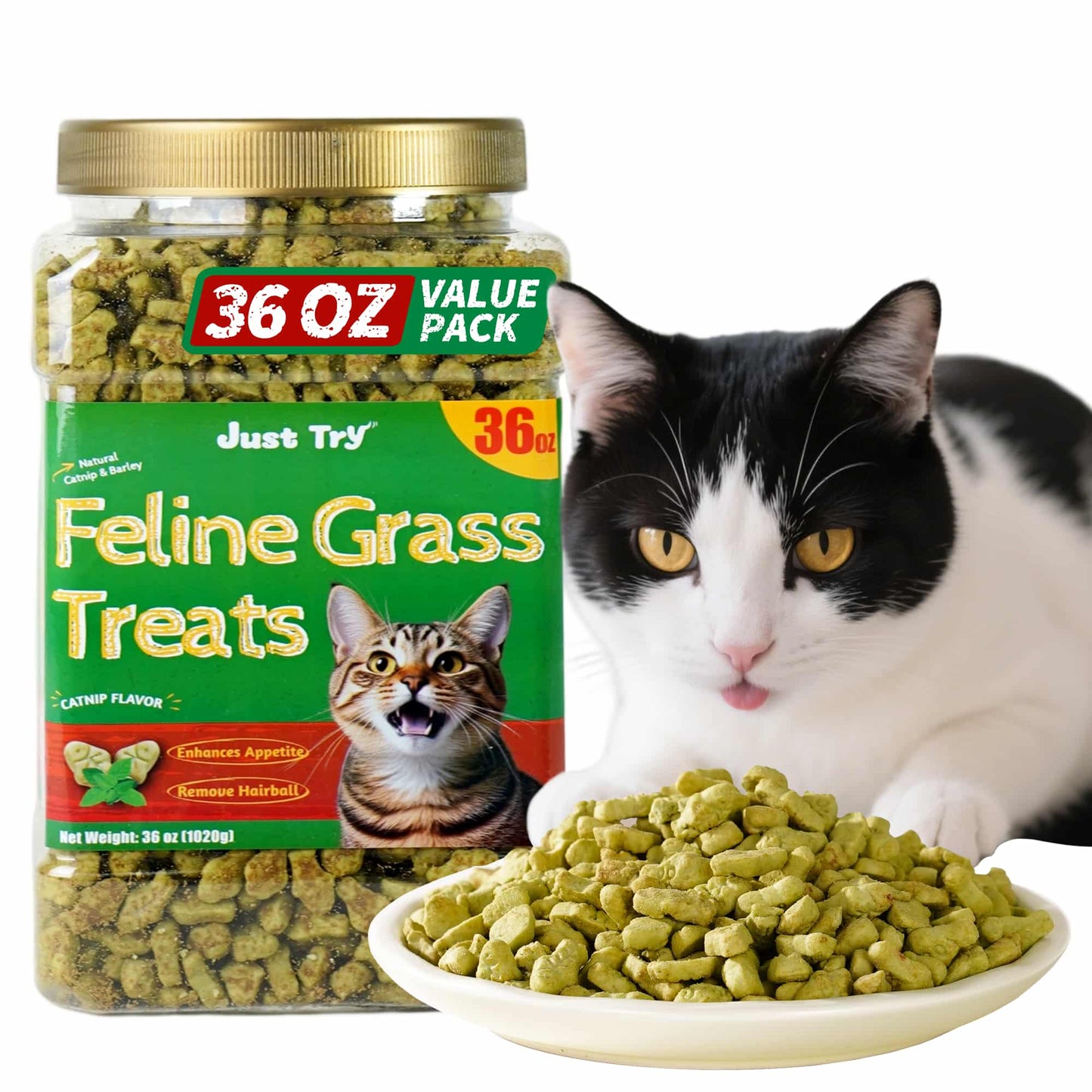 JUSTTRY Hairball Control Cat Grass Treats – Natural Salmon & Cat Grass Biscuits with Catnip for Dental Care & Training, 36oz