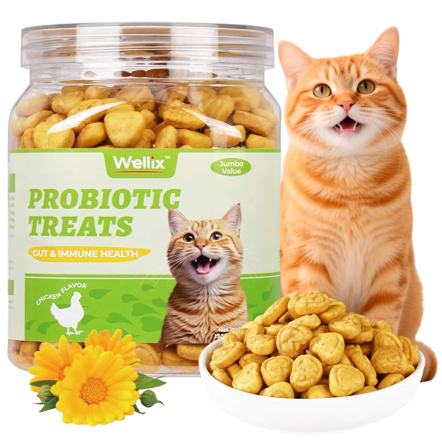 Wellix Probiotic Treats for Cats – 13.5oz Chicken-Flavored Biscuits with FOS & Inulin, Supports Digestive System & Immune Health