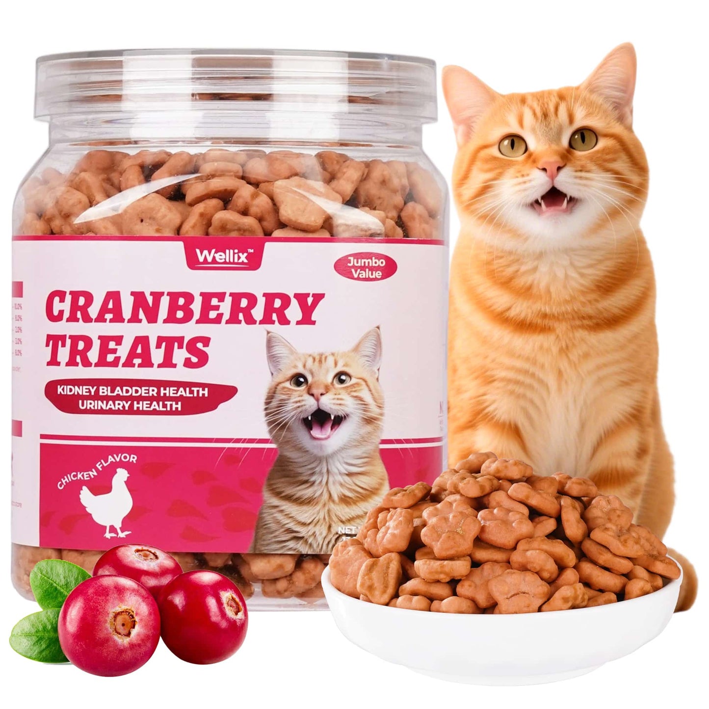 Wellix Cranberry Treats for Cats – 13.5oz Cranberry & Chicken Formula for Urinary Tract Health, Balance Urine pH