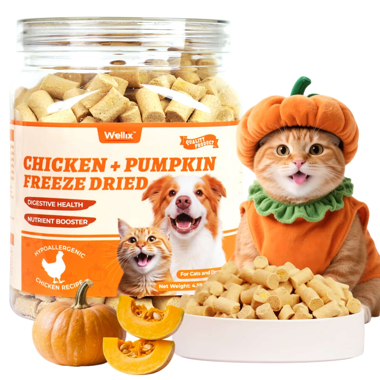 Wellix Chicken & Pumpkin Freeze-Dried Treats for Cats & Dogs – Grain-Free Crunchy Food Topper & Training Snacks, Supports Gut Health & Digestive System