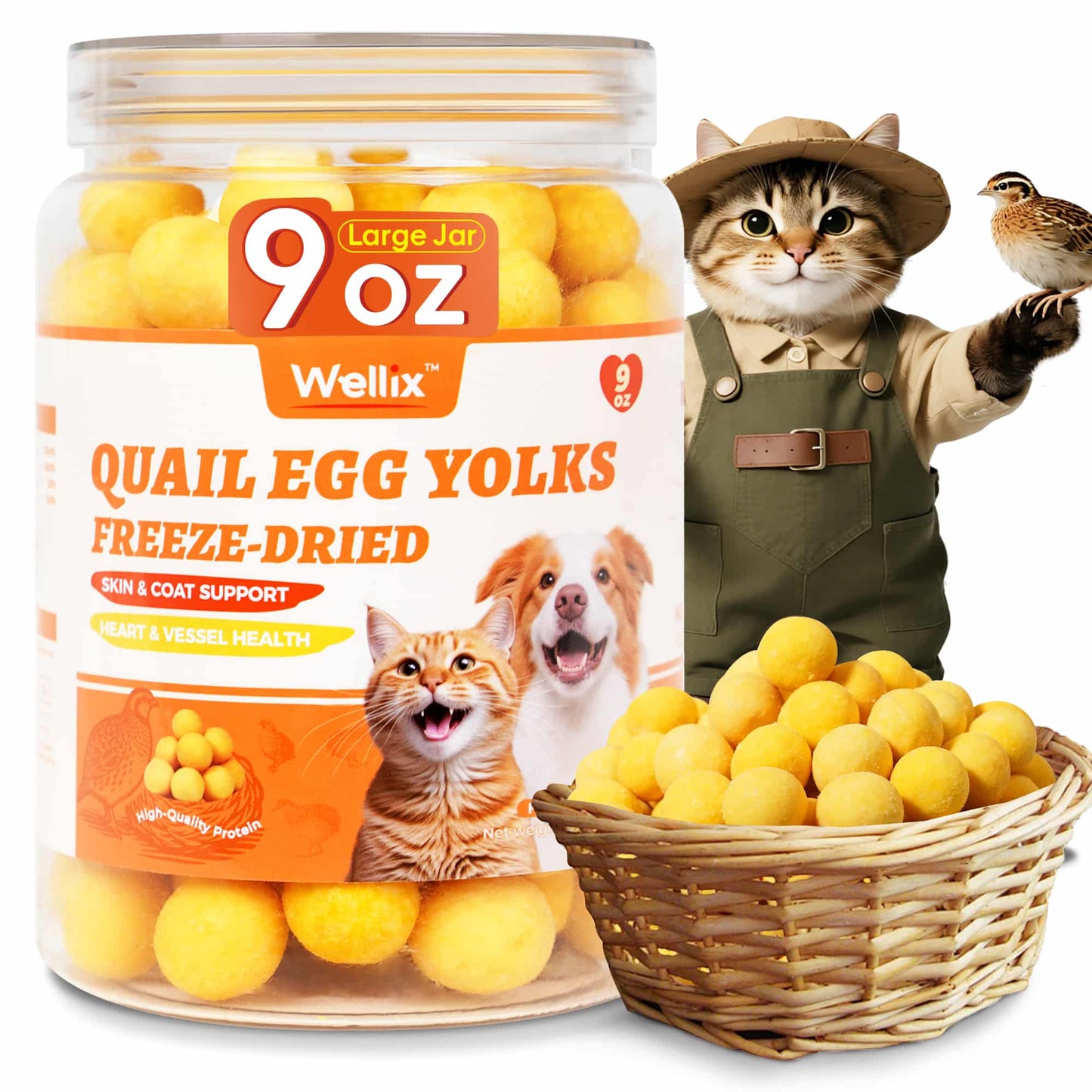 Wellix Freeze Dried Quail Eggs for Cats & Dogs - High-Protein Quail Egg Yolk Treats for Skin & Coat Health - Delicious Training Snacks for Puppies & Kittens - 9oz