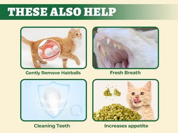 Wellix Cat Grass Treats - Natural Salmon Flavor Healthy Kitten Snacks for Dental Cleaning & Hairball Control - Catnip Training Biscuits for Indoor Cats - 16oz/450g