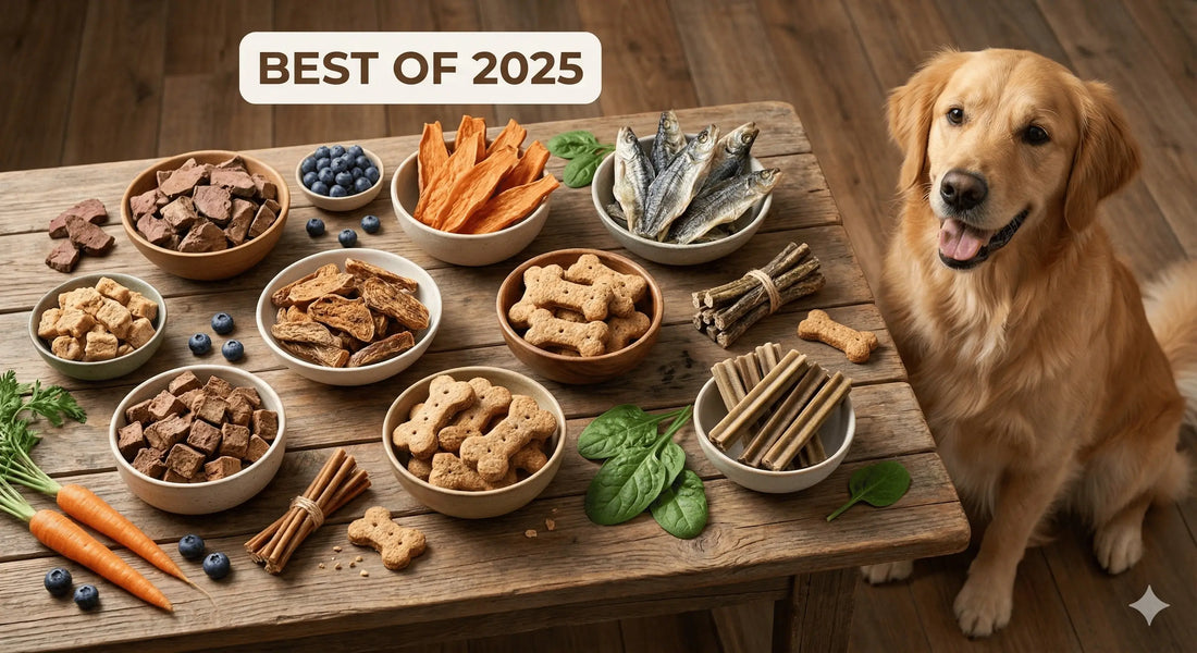 Top 10 Healthy Dog Treats: The Safest & Best Natural Picks for 2025