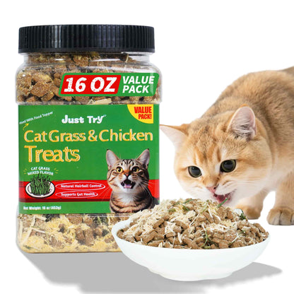 JUSTTRY Cat Grass & Chicken Cat Treats - Hairball Control Dental Care High Protein Cat Treats for Indoor Cats, Training Snacks, 16oz