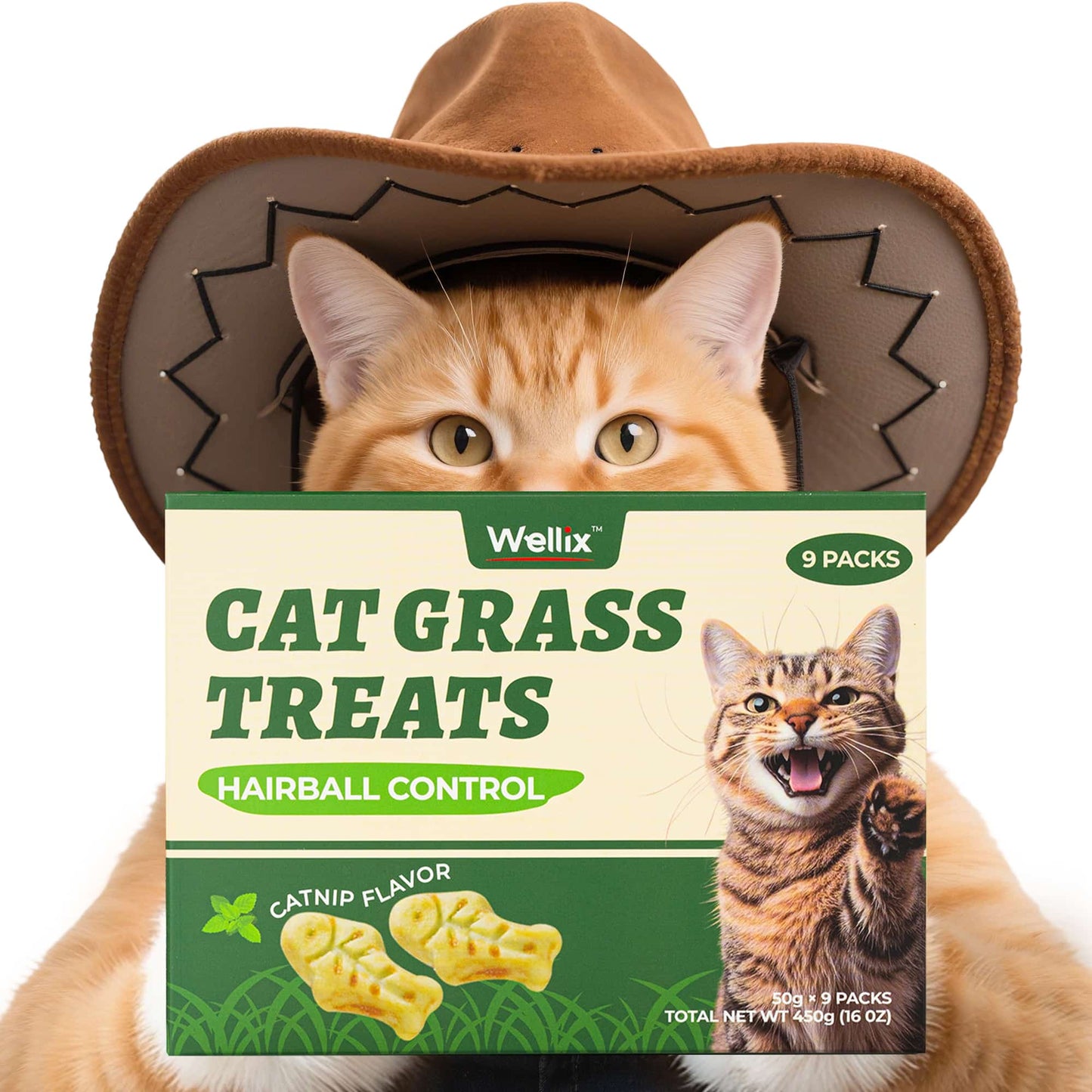 Wellix Cat Grass Treats - Natural Salmon Flavor Healthy Kitten Snacks for Dental Cleaning & Hairball Control - Catnip Training Biscuits for Indoor Cats - 16oz/450g