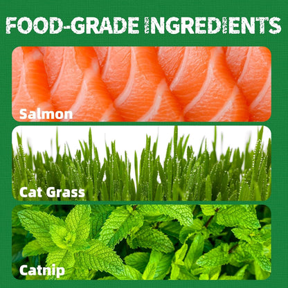 Natural Cat Grass Treats for Hairball Relief & Dental Care – Tasty Catnip Snacks by JUSTTRY, 13.4oz