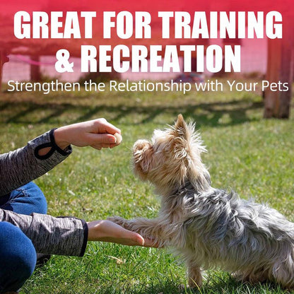 JUSTTRY Freeze-Dried Chicken Treats – High-Protein, Grain-Free Dog & Cat Treats for Training & Raw Food, 7.05oz