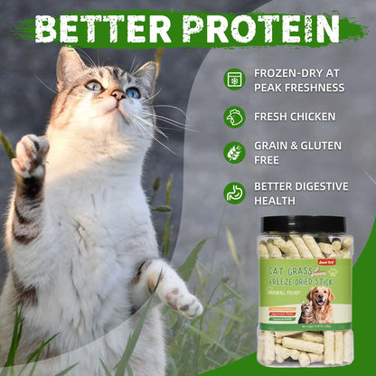 JUSTTRY Freeze-Dried Cat Grass Teething Sticks with Chicken – Natural Training Treats & Food Topper for Hairball Control, Teeth Cleaning & Dental Health, 6.34oz