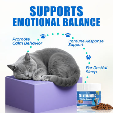 JUSTTRY Cat Calming Treats Cat Supplements – Chicken Flavor with Chamomile, L-Tryptophan & Melatonin for Anxiety & Sleep, 300 Bites, 6.35oz