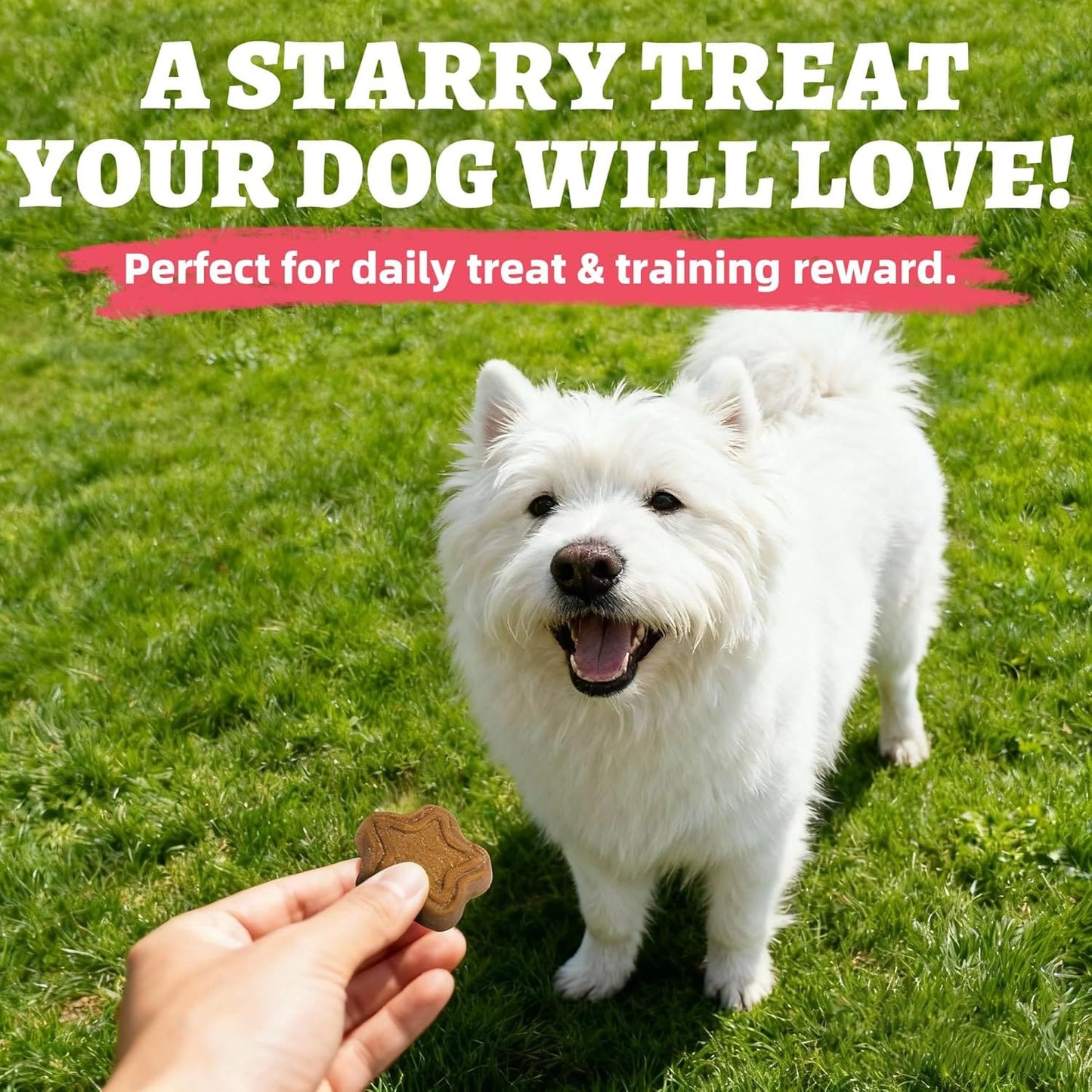 Just Try 15 OZ Dog Biscuits Cranberry Flavor Urinary Tract Health Dog Treats