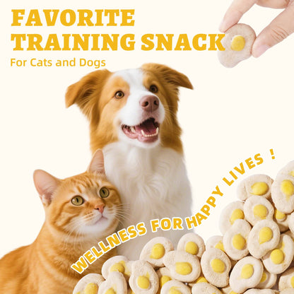 Wellix SunnyBites Freeze Dried Chicken Treats for Dogs and Cats - Healthy Egg & Chicken Snacks for Training - Supports Immunity & Gut Health - 3.5oz