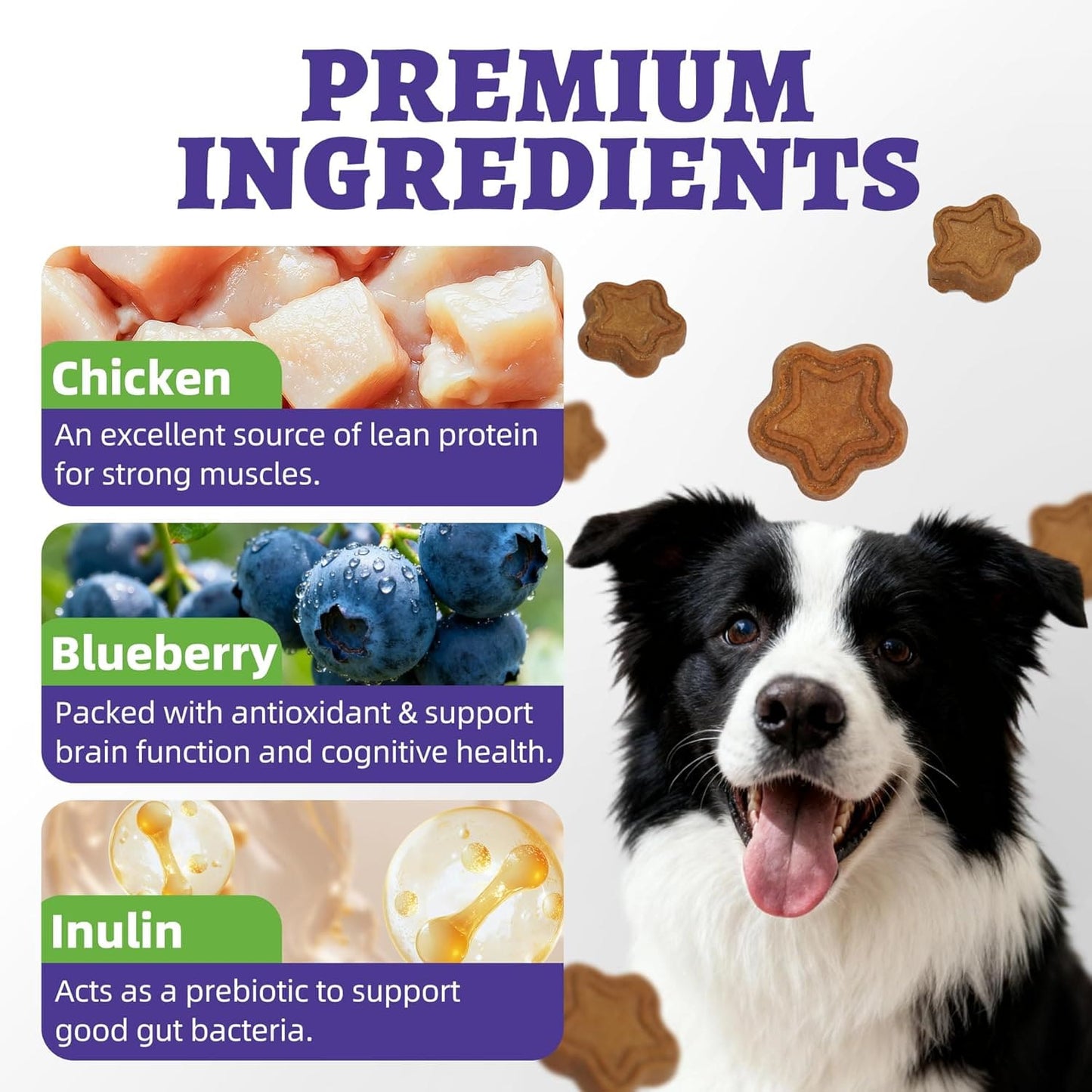 Just Try 15 OZ Blueberry Dog Treats Biscuits Eye Function Immune Blueberry Treats For Dogs
