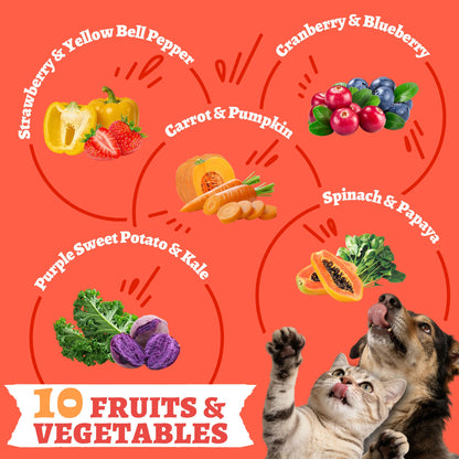 Wellix Freeze Dried Chicken&Vegetables Treats for Cats&Dogs Freeze Dried Cat Treats Rich in Pumpkin Food Topper for Gut Health 4.23oz