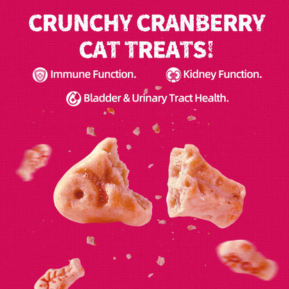 Just Try 13.4 OZ Urinary Tract Health Cat  healthy snacks for Cats snack Cat