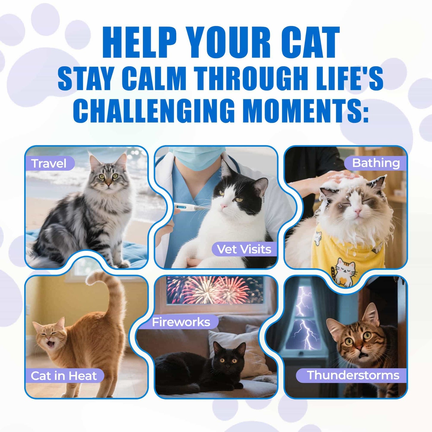 JUSTTRY Cat Calming Treats Cat Supplements – Chicken Flavor with Chamomile, L-Tryptophan & Melatonin for Anxiety & Sleep, 300 Bites, 6.35oz