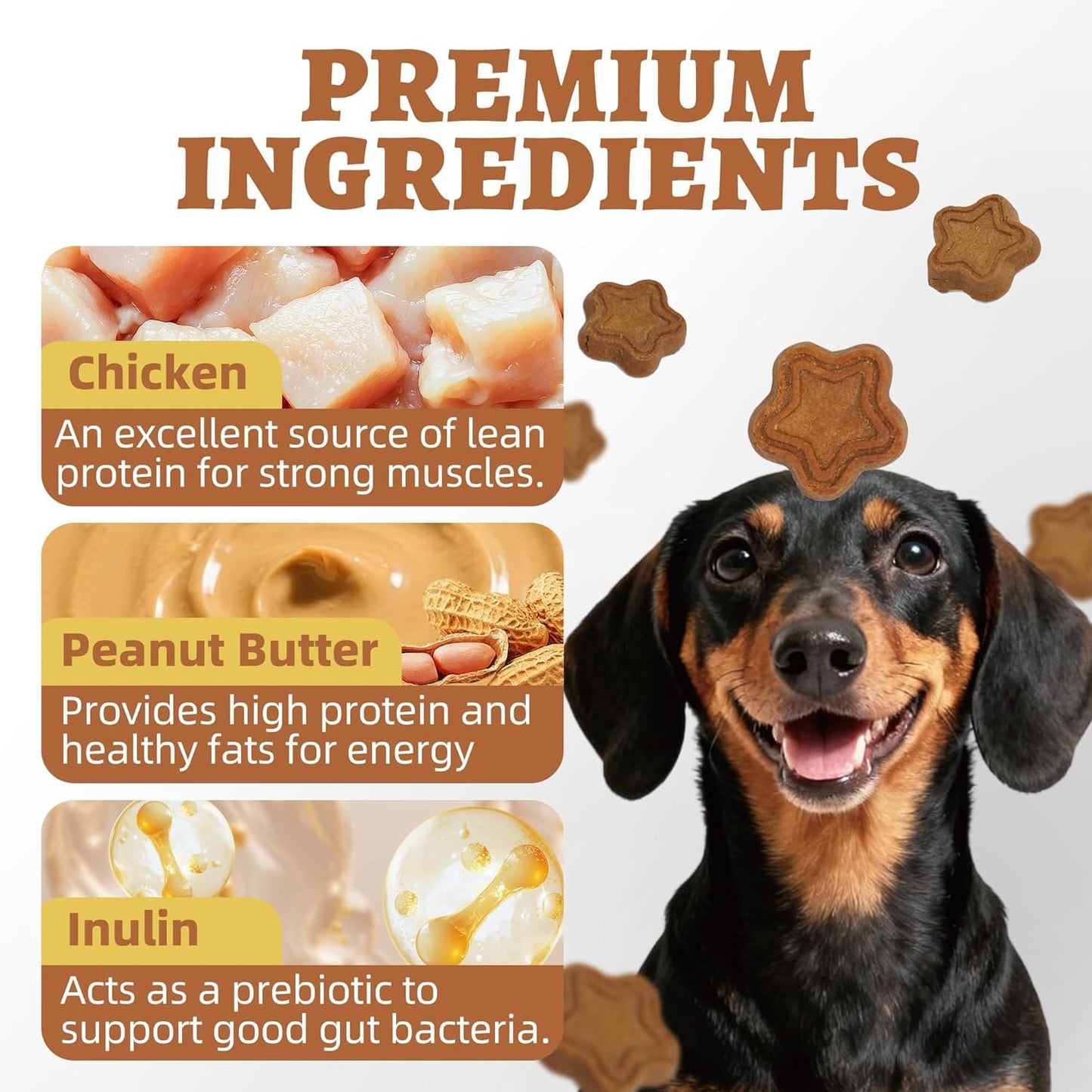 Just Try 15 OZ Dog Biscuits Peanut Butter Flavor Energy Boosting Immune  Peanut Butter Dog Treats