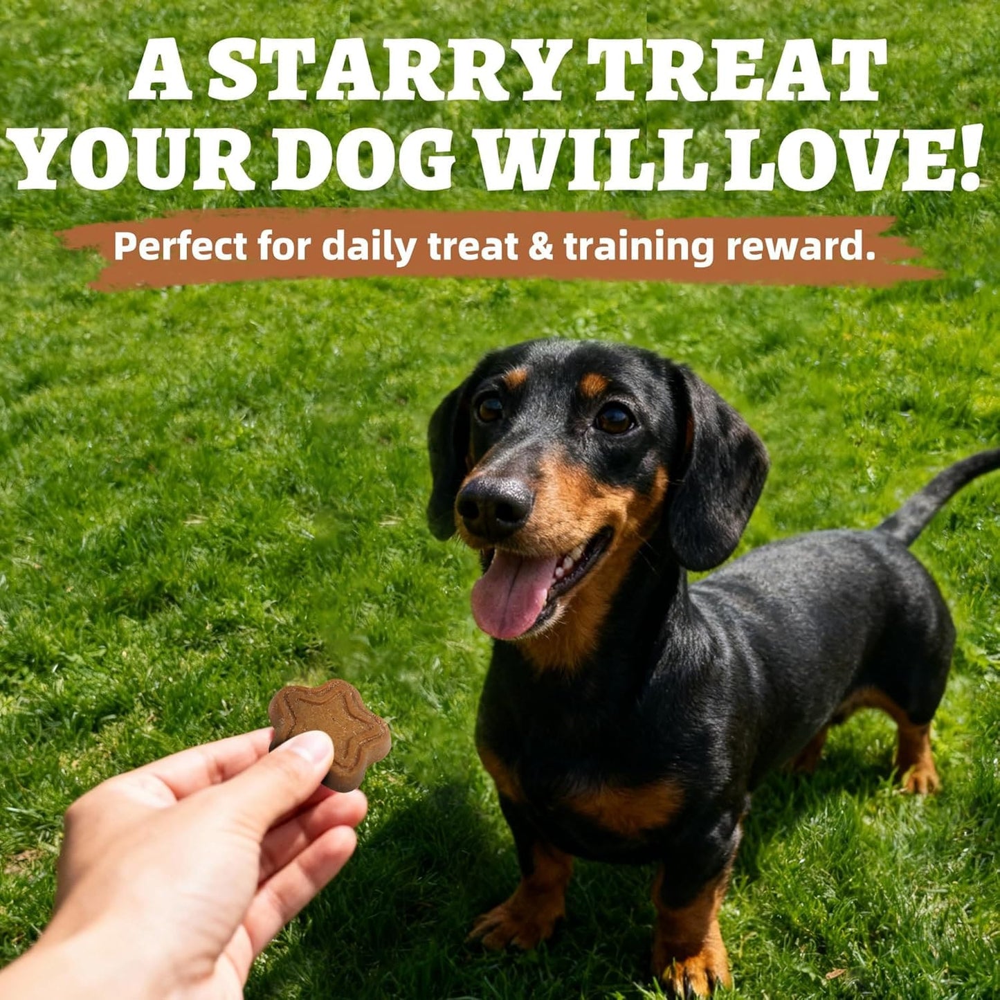 Just Try 15 OZ Dog Biscuits Peanut Butter Flavor Energy Boosting Immune  Peanut Butter Dog Treats