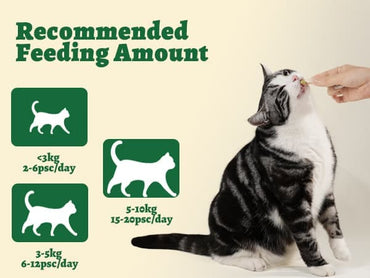 Wellix Cat Grass Treats - Natural Salmon Flavor Healthy Kitten Snacks for Dental Cleaning & Hairball Control - Catnip Training Biscuits for Indoor Cats - 16oz/450g