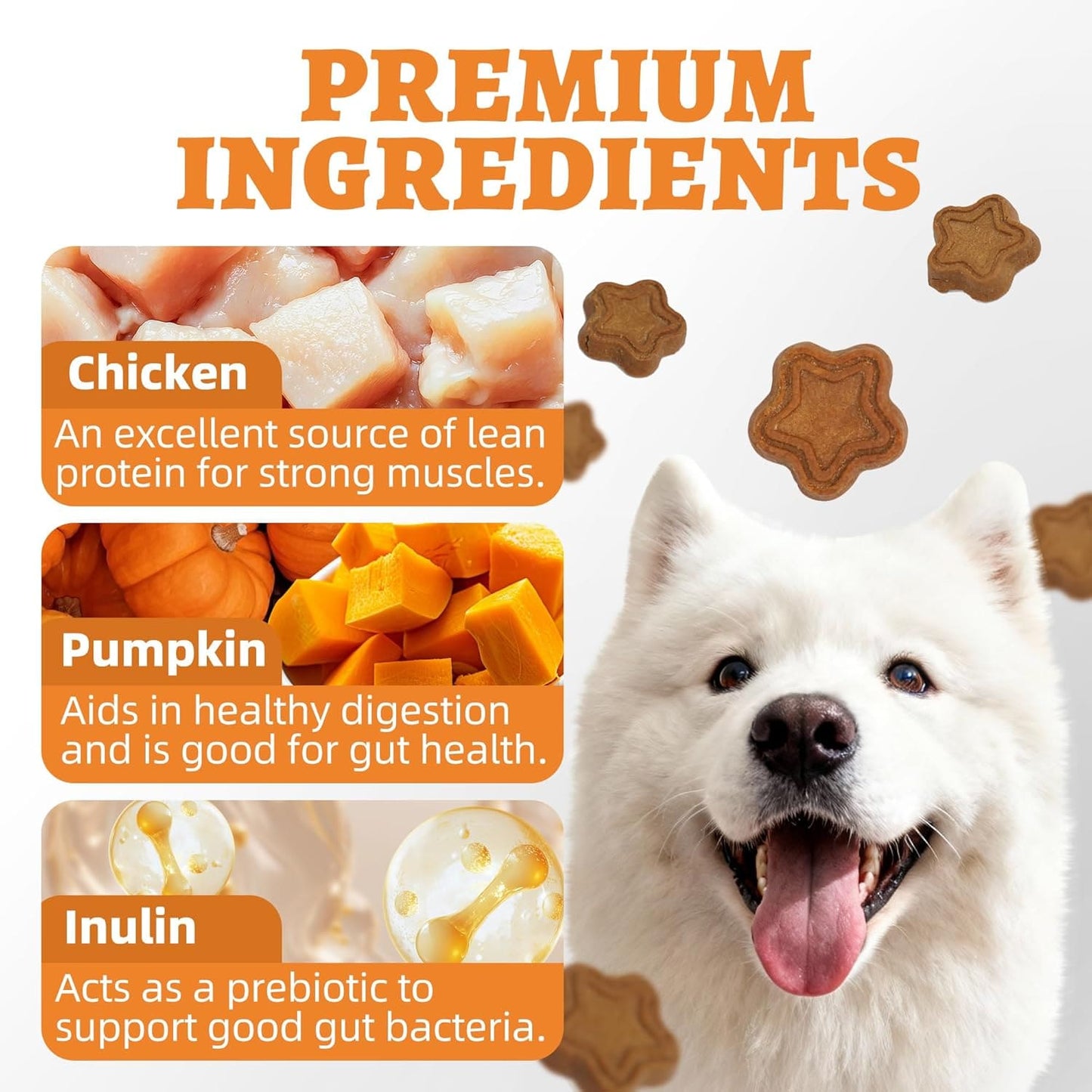 Just Try 15 OZ Pumpkin Dog Treats Biscuits Digestive Support Cat Treats Healthy Dog Treats With Pumpkin