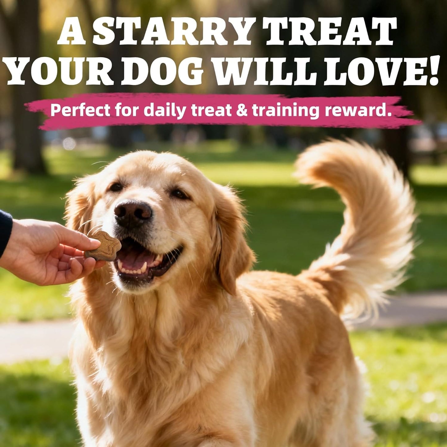 Just Try 15 OZ Sweet Potato Dog Biscuits Flavor Gut Health Support Training Healthy Dog Treats