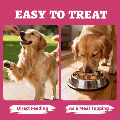 Just Try 15 OZ Sweet Potato Dog Biscuits Flavor Gut Health Support Training Healthy Dog Treats